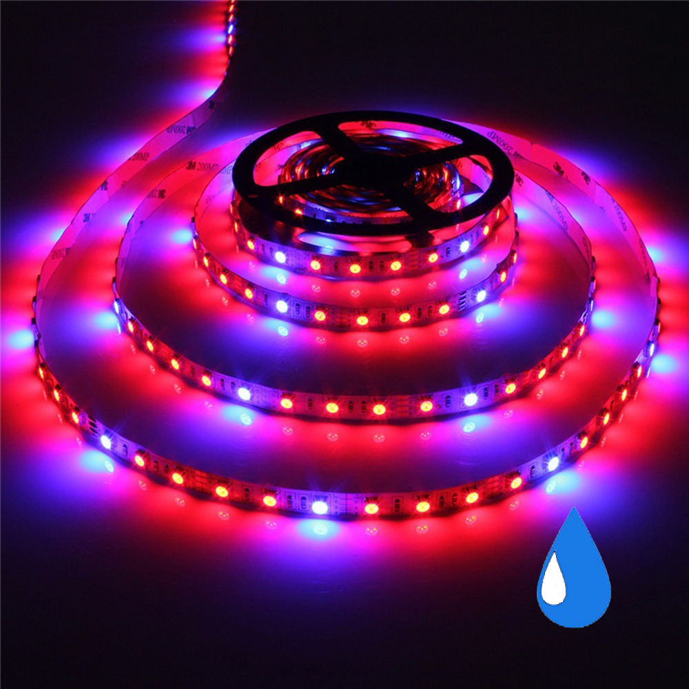 Grow light led strip - Rood/Blauw - IP65 - 4:1 - 5 meter Grow light led strip - Rood/Blauw - IP65 - 4:1 - 5 meter